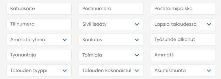 rahalaitoksen lainahakemus